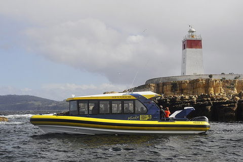 Hobart Sightseeing Cruise Including Iron Pot Lighthouse - Tweed Heads Accommodation 0