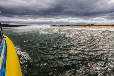 Hobart Sightseeing Cruise Including Iron Pot Lighthouse - Tweed Heads Accommodation 3