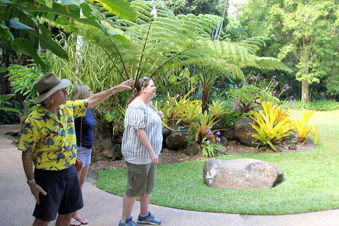 Cairns Shore Excursion: Cairns City Sights & Surrounds Tour - Tweed Heads Accommodation 4