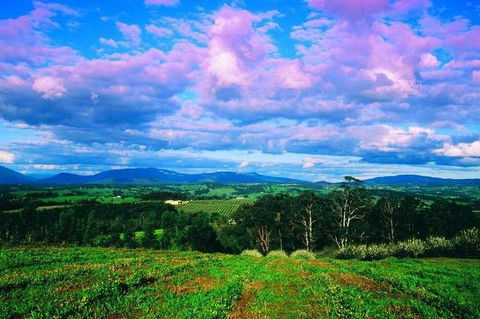 CHEVY CONVERTIBLE Package For 4 -Wine Lunch Cheese & Chocolate From Yarra Valley - Tweed Heads Accommodation 4