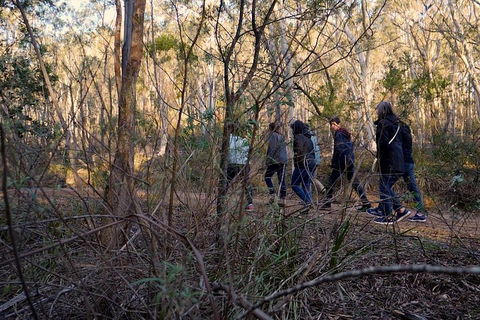 Wild Australian Wildlife 4WD Tour From Sydney - Tweed Heads Accommodation 0