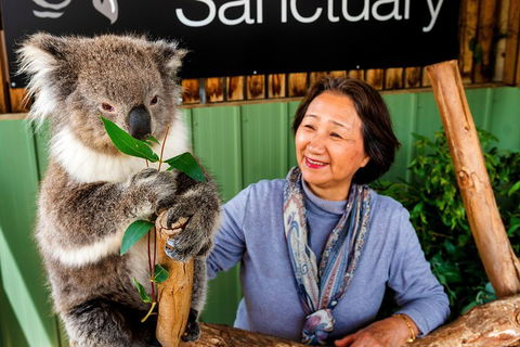 Moonlit Sanctuary Wildlife Conservation Park Daytime General Entry Ticket - Tweed Heads Accommodation 0