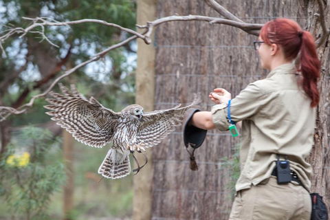 Moonlit Sanctuary Wildlife Conservation Park Daytime General Entry Ticket - Tweed Heads Accommodation 1