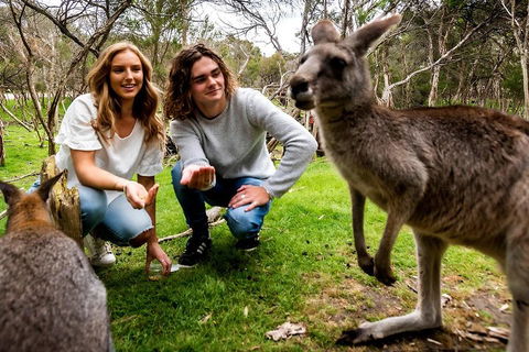 Moonlit Sanctuary Wildlife Conservation Park Daytime General Entry Ticket - Tweed Heads Accommodation 2