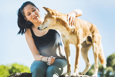 Moonlit Sanctuary Wildlife Conservation Park Daytime General Entry Ticket - Tweed Heads Accommodation 5