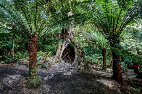 Adelaide To Melbourne 3-Day Trip Through Grampians And Great Ocean Road - Tweed Heads Accommodation 0