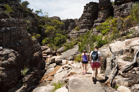 Grampians National Park With Kangaroos And MacKenzie Falls From Melbourne - Tweed Heads Accommodation 3