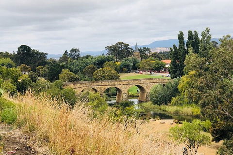 Day Tour In Mt. Field, Mt. Wellington, Bonorong Wildlife Sanctuary And Richmond - Tweed Heads Accommodation 3