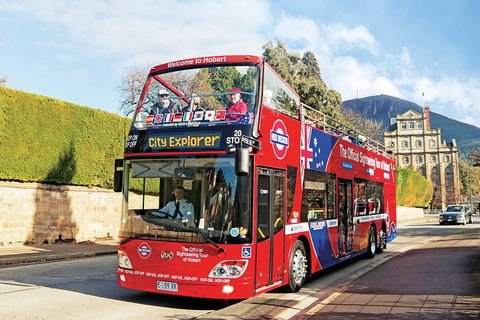 Hobart Hop-On Hop-Off Bus & Kunanyi/Mt Wellington Tour - Tweed Heads Accommodation 4