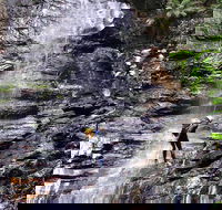 Full-Day Canyoning Experience at Stunning Empress Canyon - Tweed Heads Accommodation
