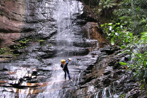 Full-Day Canyoning Experience At Stunning Empress Canyon - Tweed Heads Accommodation 0