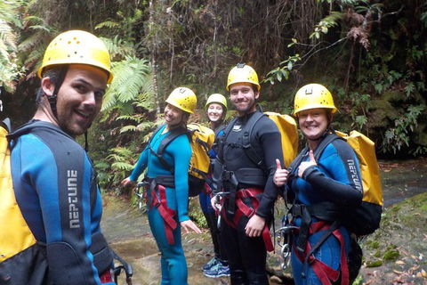 Full-Day Canyoning Experience At Stunning Empress Canyon - Tweed Heads Accommodation 1