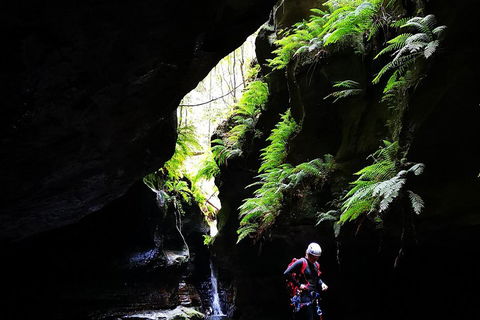 Full-Day Canyoning Experience At Stunning Empress Canyon - Tweed Heads Accommodation 2