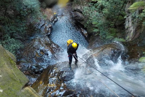 Full-Day Canyoning Experience At Stunning Empress Canyon - Tweed Heads Accommodation 4