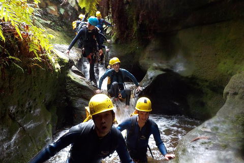 Full-Day Canyoning Experience At Stunning Empress Canyon - Tweed Heads Accommodation 5