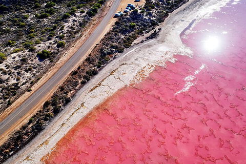 7-Day Exmouth Explorer Via Pinnacles Monkey Mia Ningaloo Reef Returning To Perth - Tweed Heads Accommodation 0