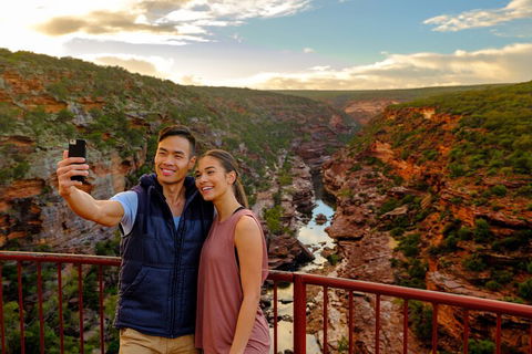 7-Day Exmouth Explorer Via Pinnacles Monkey Mia Ningaloo Reef Returning To Perth - Tweed Heads Accommodation 5