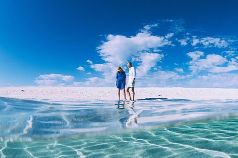 4-Day Coastal Loop Via Monkey Mia Wild Dolphins Kalbarri Pinnacles Perth Return - Tweed Heads Accommodation 0