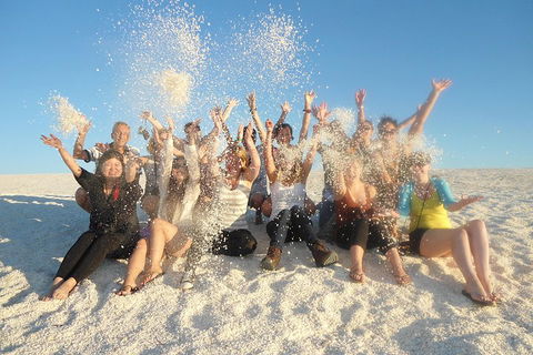 4-Day Coastal Loop Via Monkey Mia Wild Dolphins Kalbarri Pinnacles Perth Return - Tweed Heads Accommodation 1