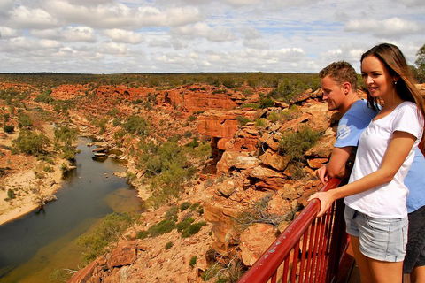 4-Day Coastal Loop Via Monkey Mia Wild Dolphins Kalbarri Pinnacles Perth Return - Tweed Heads Accommodation 3