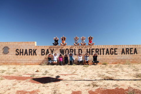6-Day Coral Coaster From Perth To Exmouth One-Way Via Monkey Mia Ningaloo Reef - Tweed Heads Accommodation 4