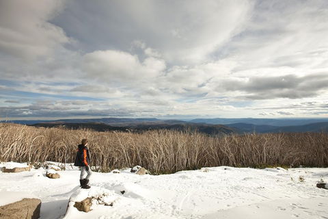 Lake Mountain Snow Trip Including Yarra Valley Chocolaterie From Melbourne - Tweed Heads Accommodation 5