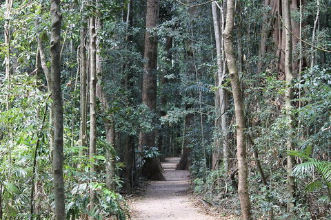 Eumundi Markets And Sunshine Coast Day Trip From Brisbane - Tweed Heads Accommodation 4