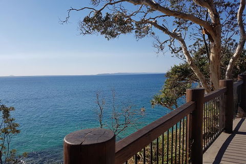 Noosa And Sunshine Coast Hinterland Day Trip From Brisbane - Tweed Heads Accommodation 0