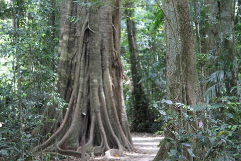 Noosa And Sunshine Coast Hinterland Day Trip From Brisbane - Tweed Heads Accommodation 3