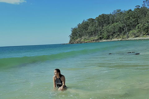 Noosa And Sunshine Coast Hinterland Day Trip From Brisbane - Tweed Heads Accommodation 4