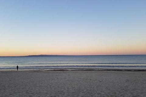 Noosa And Sunshine Coast Hinterland Day Trip From Brisbane - Tweed Heads Accommodation 5