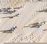 Unlimited Sandboarding - Tweed Heads Accommodation
