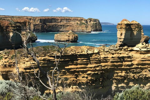 Great Ocean Road Reverse Itinerary Tour - Tweed Heads Accommodation 1