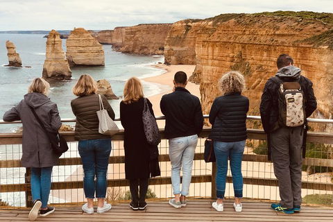 Great Ocean Road Reverse Itinerary Tour - Tweed Heads Accommodation 2
