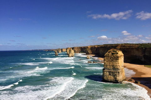 Great Ocean Road Reverse Itinerary Tour - Tweed Heads Accommodation 4