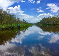 Noosa Everglades Serenity Cruise  Highlights Tour Inc. Lunch  Cruise - Tweed Heads Accommodation