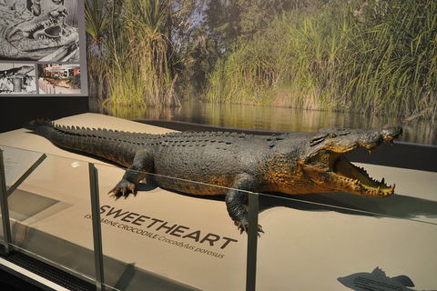 Explore Darwin City Sights Including Key Attractions - Tweed Heads Accommodation 2