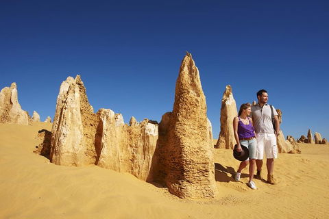 Pinnacles Day Trip From Perth Including Yanchep National Park - Tweed Heads Accommodation 0