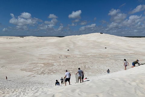 Pinnacles Day Trip From Perth Including Yanchep National Park - Tweed Heads Accommodation 2