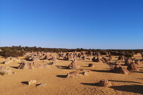 Pinnacles Day Trip From Perth Including Yanchep National Park - Tweed Heads Accommodation 3