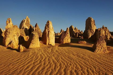 Pinnacles Day Trip From Perth Including Yanchep National Park - Tweed Heads Accommodation 5