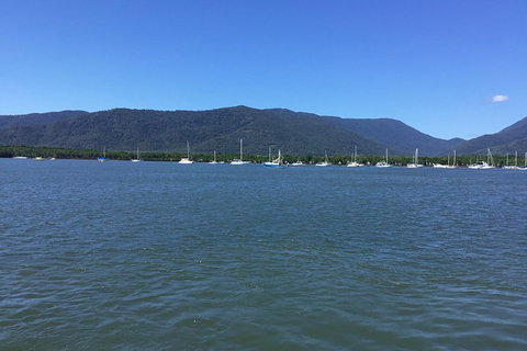 Cairns City Tour - Tweed Heads Accommodation 3