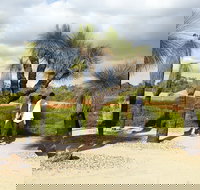 1 Day Exclusively Private Tour Of Phillip Island  The Penguin Parade - Tweed Heads Accommodation