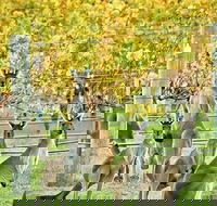 Margaret River Indulge and Discover Day Tour - Tweed Heads Accommodation