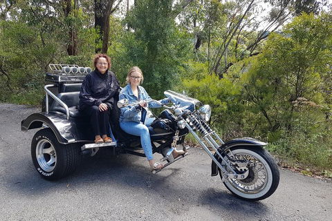 Blue Mountains 1-Hour Trike Tour Of Three Sisters - Tweed Heads Accommodation 1