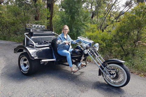 Blue Mountains 1-Hour Trike Tour Of Three Sisters - Tweed Heads Accommodation 4