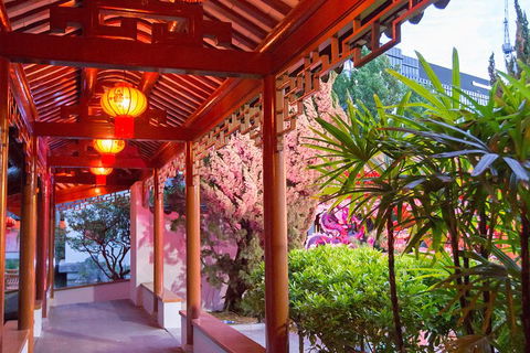 Chinese Garden General Admission Ticket - Tweed Heads Accommodation 4