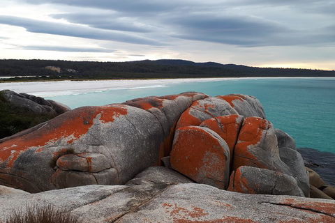 3-Day Bay Of Fires Photography Workshop From Hobart - Tweed Heads Accommodation 0