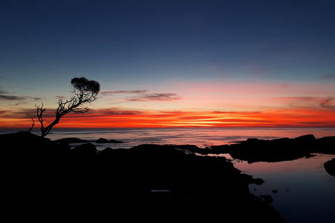 3-Day Bay Of Fires Photography Workshop From Hobart - Tweed Heads Accommodation 1
