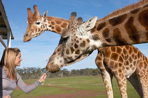Melbourne City Card (2 Days): Visit Unlimited Attractions! - Tweed Heads Accommodation 1